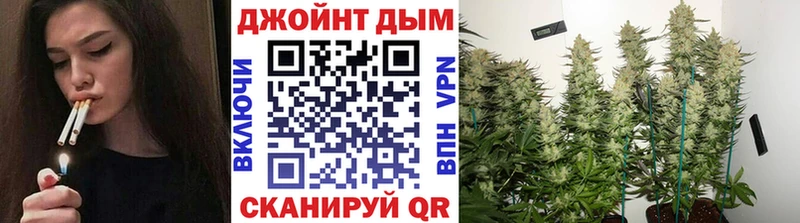 Конопля SATIVA & INDICA цена Горячеводский